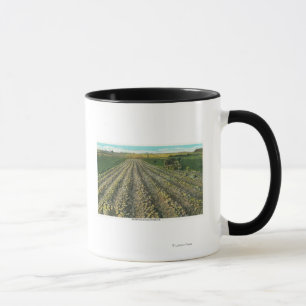 MaineView einer Kartoffelfarm in Maine Tasse