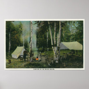 MaineView eines Campingplatzes im Maine-Wald Poster
