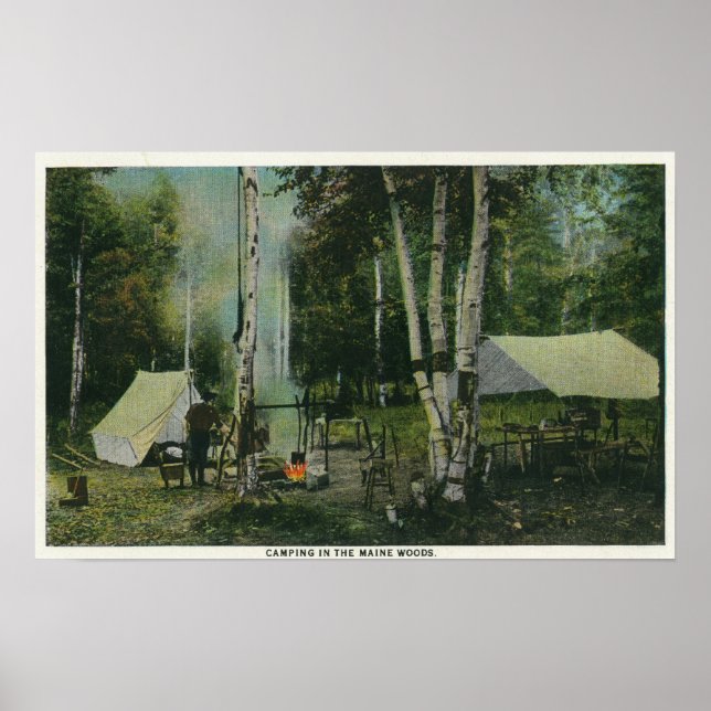 MaineView eines Campingplatzes im Maine-Wald Poster (Vorne)