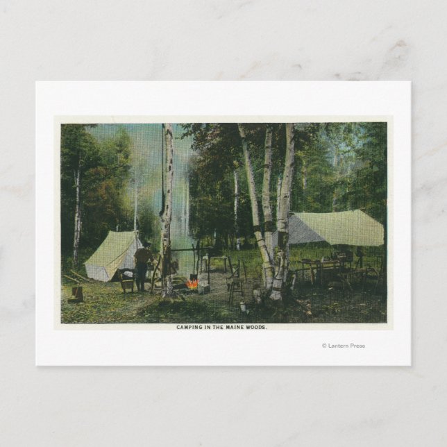 MaineView eines Campingplatzes im Maine-Wald Postkarte (Vorderseite)