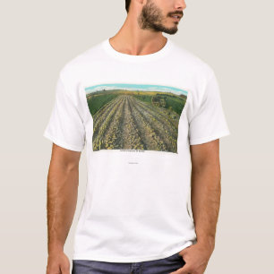 MaineView eines Kartoffel-Bauernhofes in Maine T-Shirt