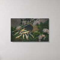 MaineView of a Nice Catch of Maine Lake Foreut