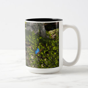 Maion a Mushroom Design 2 Tasse