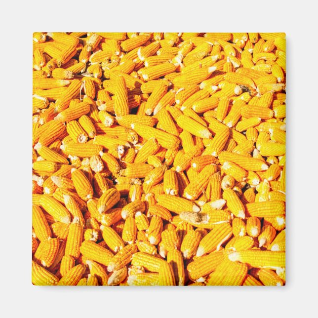 Mais auf dem Cob Magnet (Vorne)