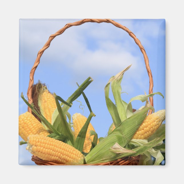 Mais auf dem Cob Magnet (Vorne)