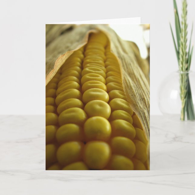 Mais nahes hohes Greetingcard Karte (Vorderseite)