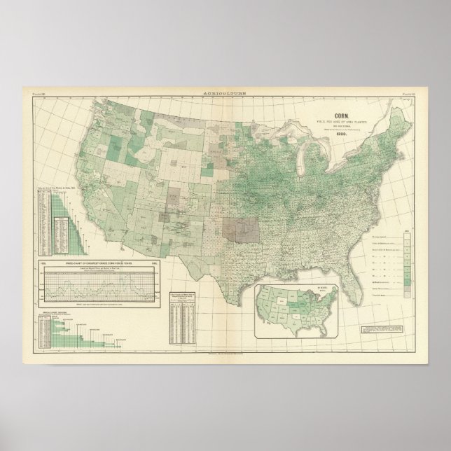 Mais pro Hektar bepflanzt Poster (Vorne)