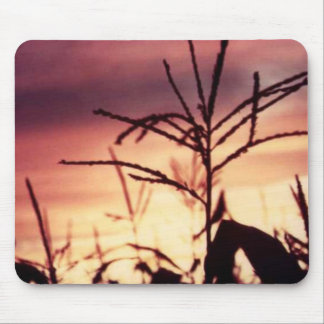 Mais-Quasten am Sonnenuntergang Mousepad