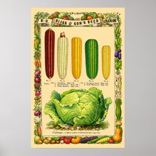 Mais Retro-Viktorianische Botanische Kunst Poster