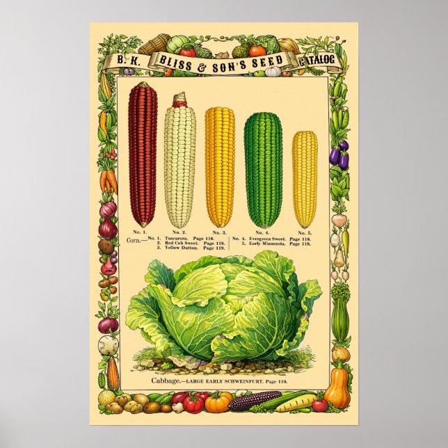 Mais Retro-Viktorianische Botanische Kunst Poster (Vorne)