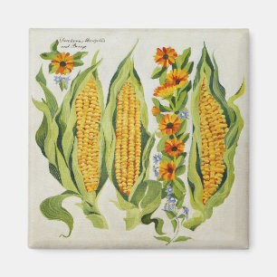 Mais- und Mark-Blumen 2014 Magnet