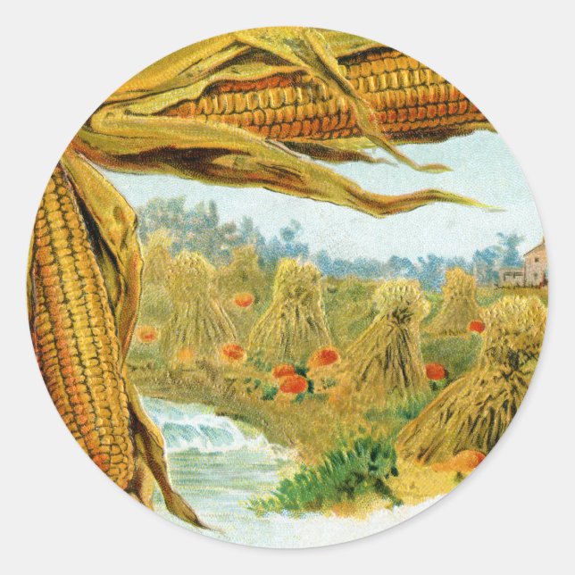 Mais und Pumpkins Vintager Erntedank Runder Aufkleber (Vorderseite)