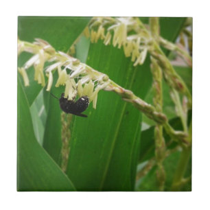 Maisblütenstaub ist zu den Bienen heute lecker Fliese
