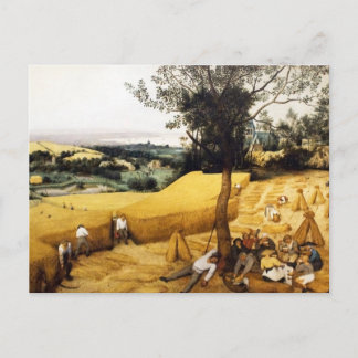 Maisernte - 1565 postkarte
