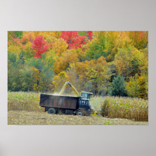 Maisernte in Vermont Poster