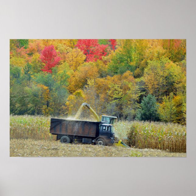 Maisernte in Vermont Poster (Vorne)