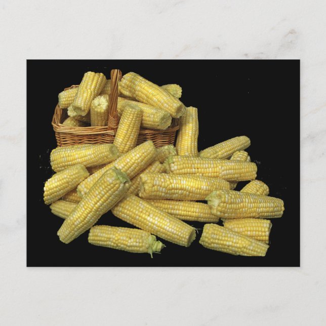Maisernte Postkarte (Vorderseite)