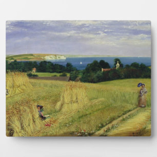 Maisfeld auf der Isle of Wight Fotoplatte
