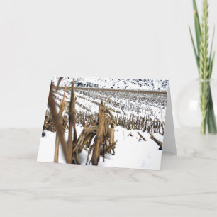 Maisfeldkarte Feiertagskarte