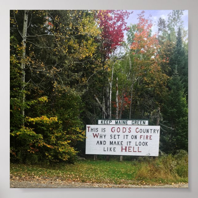 Maisgrün behalten poster (Vorne)