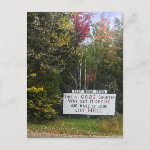 Maisgrün behalten postkarte