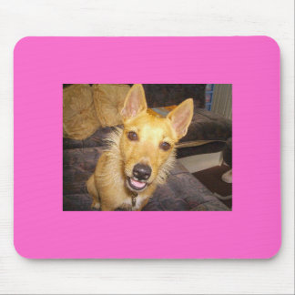 "Maisie" der Jack Russell Mousepad