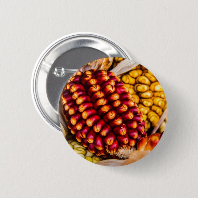 Maiskolben Button (Vorne & Hinten)
