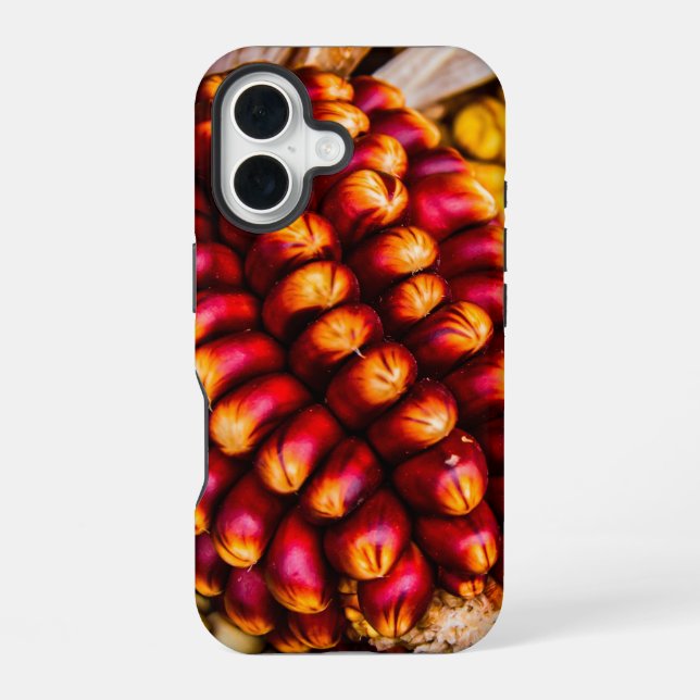 Maiskolben iPhone 16 Hülle (Rückseite)