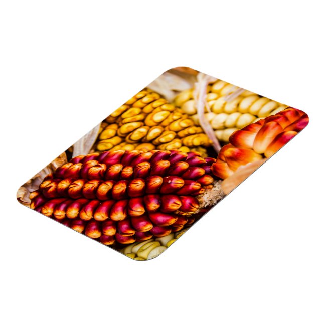 Maiskolben Magnet (Linke Seite)