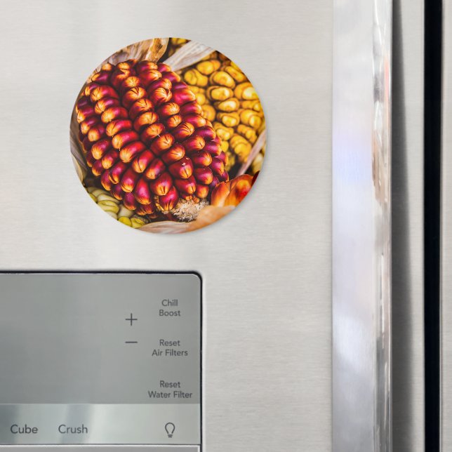 Maiskolben Magnet (In Situ (Kühlschrank))