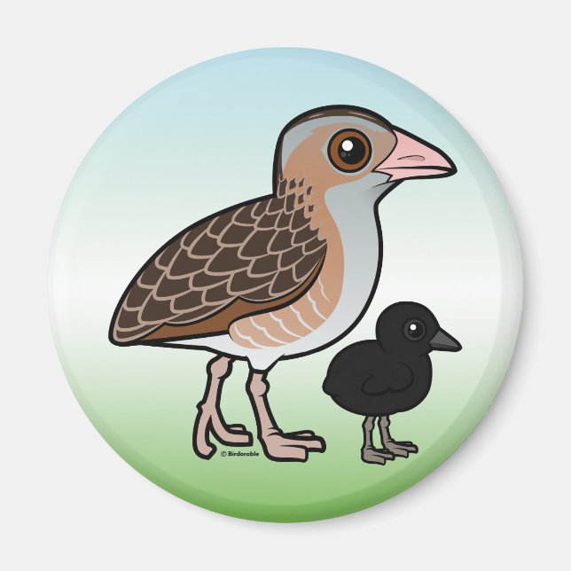 Maiskrähe mit Baby Magnet (Vorne)