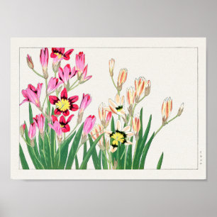 Maislilie von Tanigami Konan Poster