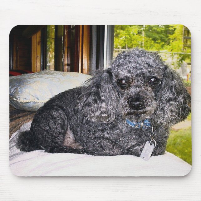 Maitai der Pudel, Mausunterlage Mousepad (Vorne)