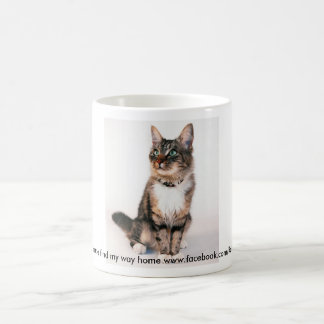 Maiw Tasse