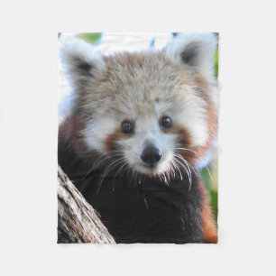 Maiya der rote Panda Fleecedecke