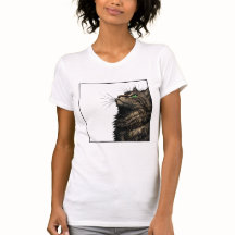 Majestätige Fluffige Katze Grüne Augen Porträt