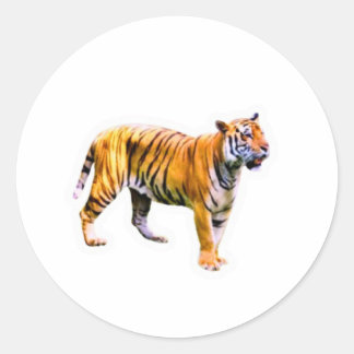 Majestätiger Sumatra-Tiger - Bedrohte Tierwelt Con Runder Aufkleber
