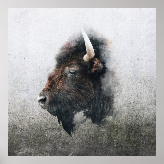 Majestätiges Bisonporträt Poster (Vorne)
