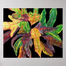 Majestätische Blätter