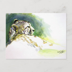 Majestätische Gepard-Postkarte Postkarte