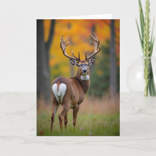 Majestätische Hirsch-Geburtstagskarte Karte