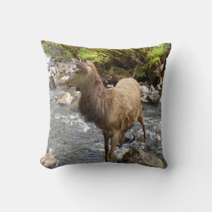 Majestätische Hochland-Jungtiere Rothirsch Wildnis Kissen