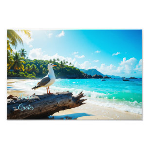 Majestätische Möwe am tropischen Strand Fotodruck