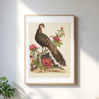 Majestätische Pfauen-Vogel-Blumen-Vintage-Illustra