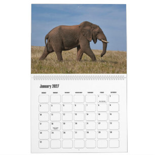 Majestätische Riesen Afrikanischer Wildtierkalende Kalender