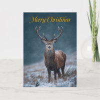 Majestätische Rothirsch-Hirsch-Foto-Weihnachtskart