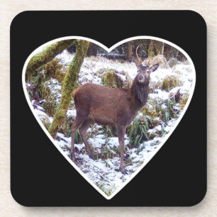 Majestätische Rothirsch Szene Schneebedeckte Winte Getränkeuntersetzer