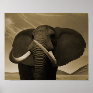 Majestätische Statur Poster