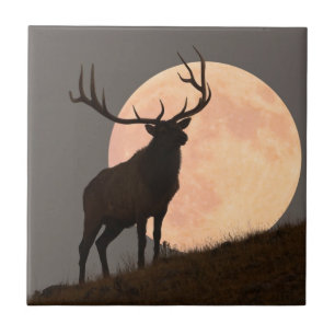 Majestätische Stier-Elch-und Vollmond-Aufstieg Fliese