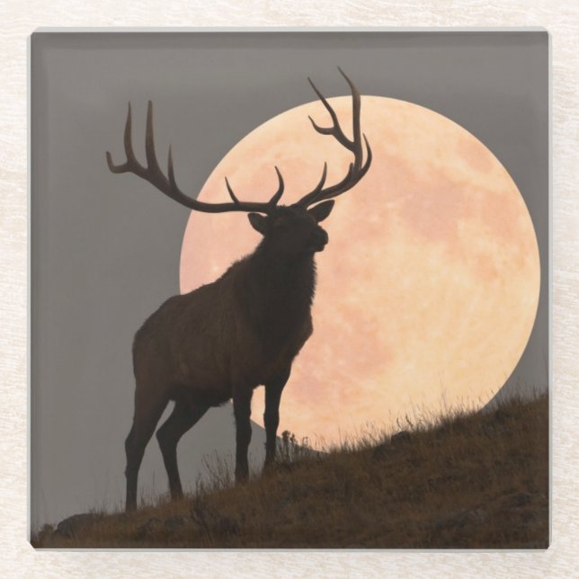 Majestätische Stier-Elch-und Vollmond-Aufstieg Glasuntersetzer (Vorderseite)
